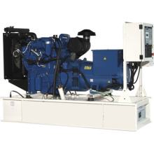 Perkins Series Diesel Generator (NPP200)